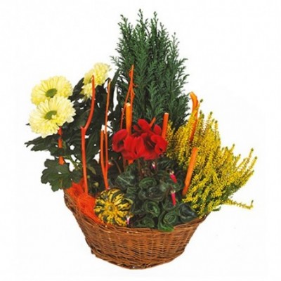 Création florale Equinoxe dédiée aux obsèques