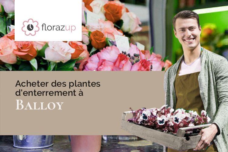 plantes pour des obsèques à Balloy (Seine-et-Marne/77118)