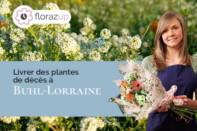 fleurs de Lorraine