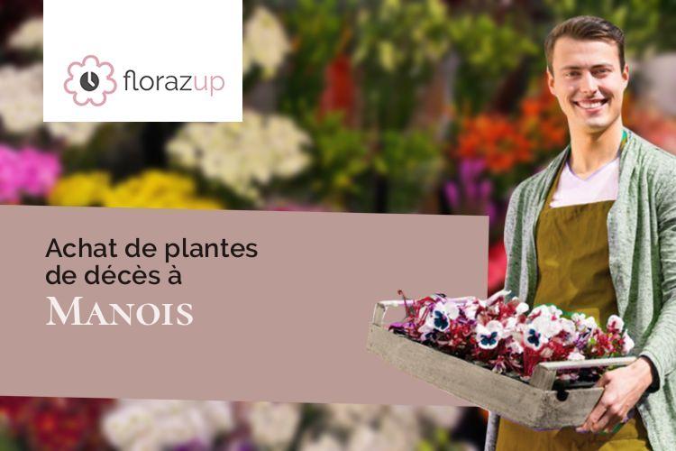 coupes de fleurs pour un décès à Manois (Haute-Marne/52700)