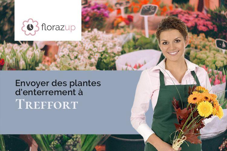 coupes de fleurs pour un enterrement à Treffort (Isère/38650)